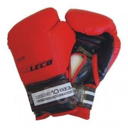 Боксерские перчатки 10 oz Leco М9808